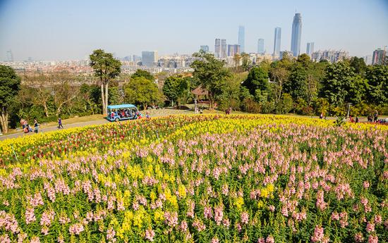 旅行趣事图片