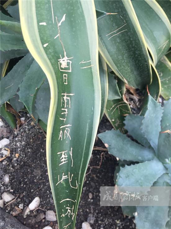 旅游资询图片
