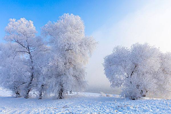 东北雪景美如画